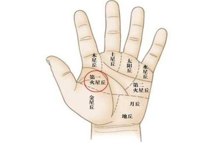 如果這個地方肉多,肯定能發財! 手相面相
