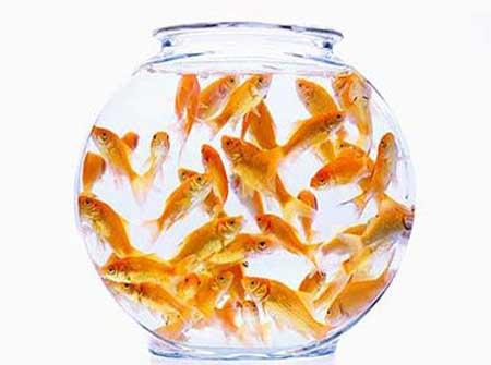 風水化煞的方法 易經風水